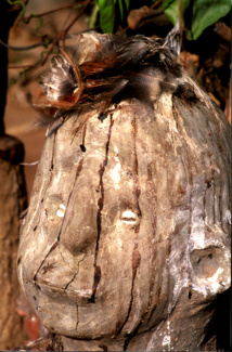 D'autres romans sont toujours possibles ! D'autres romans sont toujours possibles !