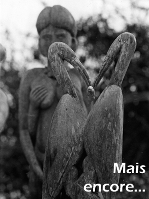 http://www.anthropoweb.com/fielouxlombard/Mais-encore_r13.html
