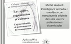 L'intelligence de l'autre : une démarche interculturelle déclinée dans des univers professionnels dissemblables