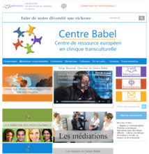 Ouverture du Portail partenaire : Transculturel.eu Ouverture du Portail partenaire : Transculturel.eu