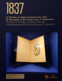 "Nous et les autres, des préjugés au racisme" - Musée de l'Homme, 31 mars 2017 - 8 janvier 2018 "Nous et les autres, des préjugés au racisme" - Musée de l'Homme, 31 mars 2017 - 8 janvier 2018