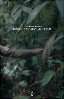 Comment pensent les forêts : Vers une anthropologie au-delà de l'humain