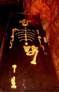 Squelette de Lucy, reproduction