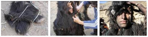 Bilmawen chez les Seksawa ou le langage paradoxal d’une chèvre, Jean-Claude Thiery