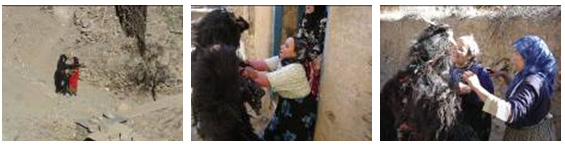 Bilmawen chez les Seksawa ou le langage paradoxal d’une chèvre, Jean-Claude Thiery