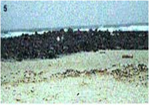 Les étapes du grand tuuru dédié à Mme Diaré, la plage de Kësup d'où le bétail offert à Mame Gané Diop sortit de la mer