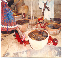 Les étapes du ndëpp, versement du sang du boeuf sur les xamb