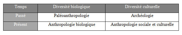 Culture et diversité, Initiation à l'anthropologie - Introduction