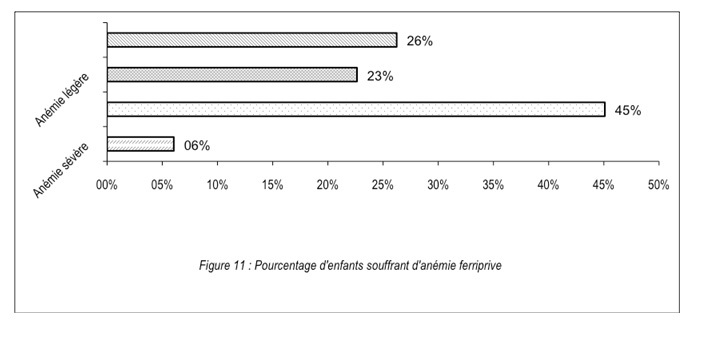 Statut sociodémographique de la mère et anémie ferriprive chez les enfants de moins de trois ans au Cameroun