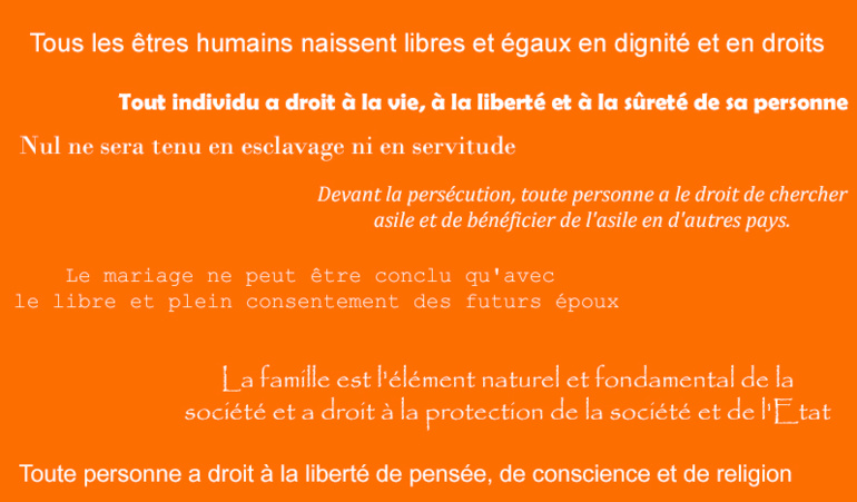 Il y a 70 ans, 58 états membres adoptent la Déclaration universelle des droits de l'Homme. Il y a 70 ans, 58 états membres adoptent la Déclaration universelle des droits de l'Homme.