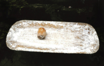 Planche à manioc tshipaki avec son rouleau tsindu, photographiée dans la cour de sa mère par M. Albert Bassoumba, Brazzaville, quartier St-Pierre, Bakongo, décembre 2010.
