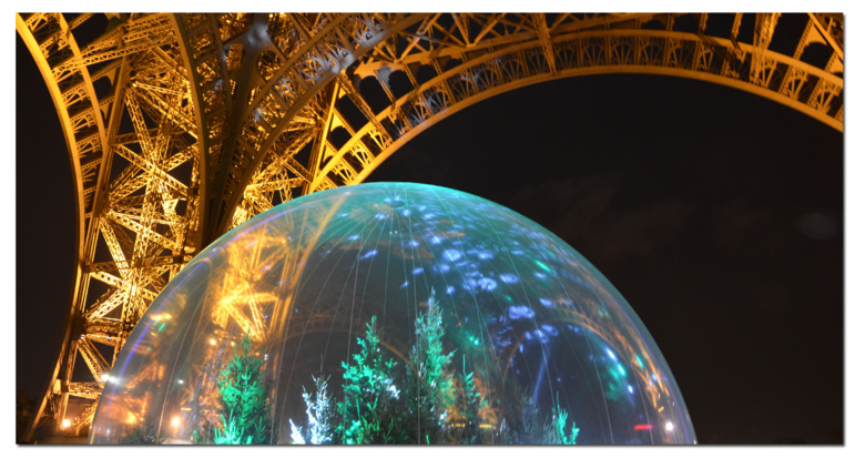 Merveilleuse année 2015 ! Merveilleuse année 2015 !