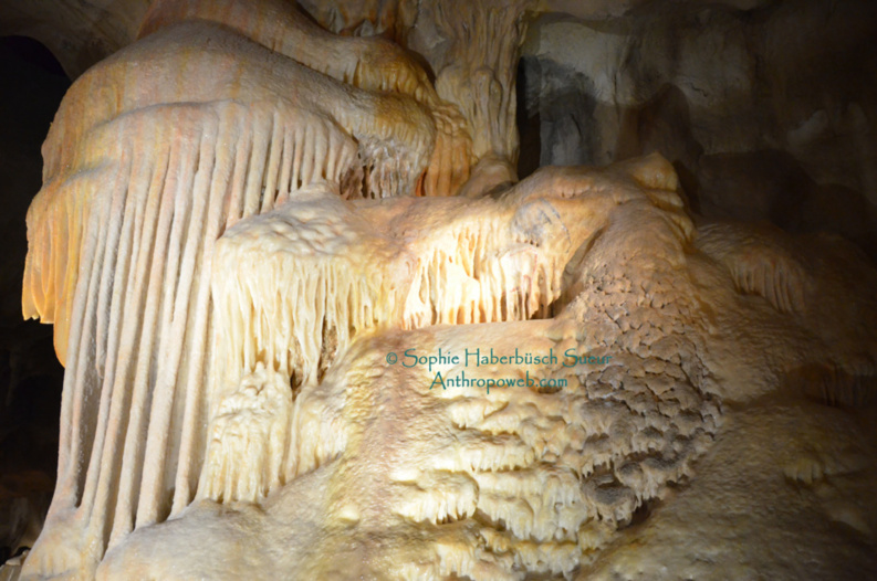 Une sagesse scientifique, une merveille humaine restituée : la Grotte Chauvet Pont d'Arc Une sagesse scientifique, une merveille humaine restituée : la Grotte Chauvet Pont d'Arc