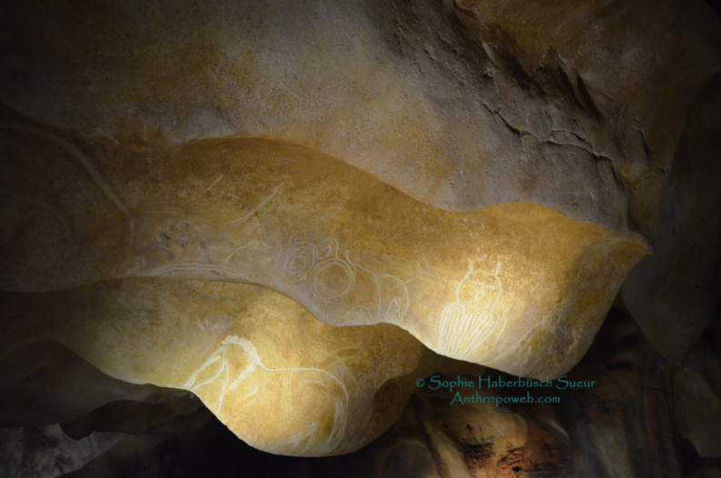 Une sagesse scientifique,  une merveille  humaine restituée : la Grotte Chauvet Pont d'Arc