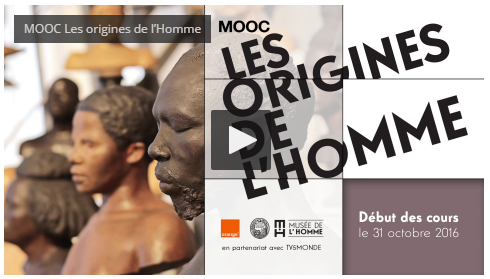 MOOC du Musée de l'Homme : Les origines