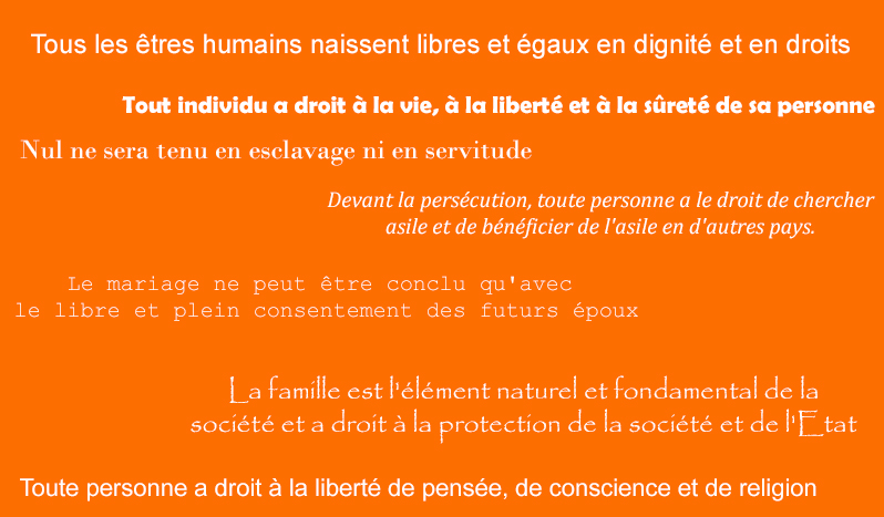 Il y a 70 ans, 58 états membres adoptent la Déclaration universelle des droits de l'Homme.