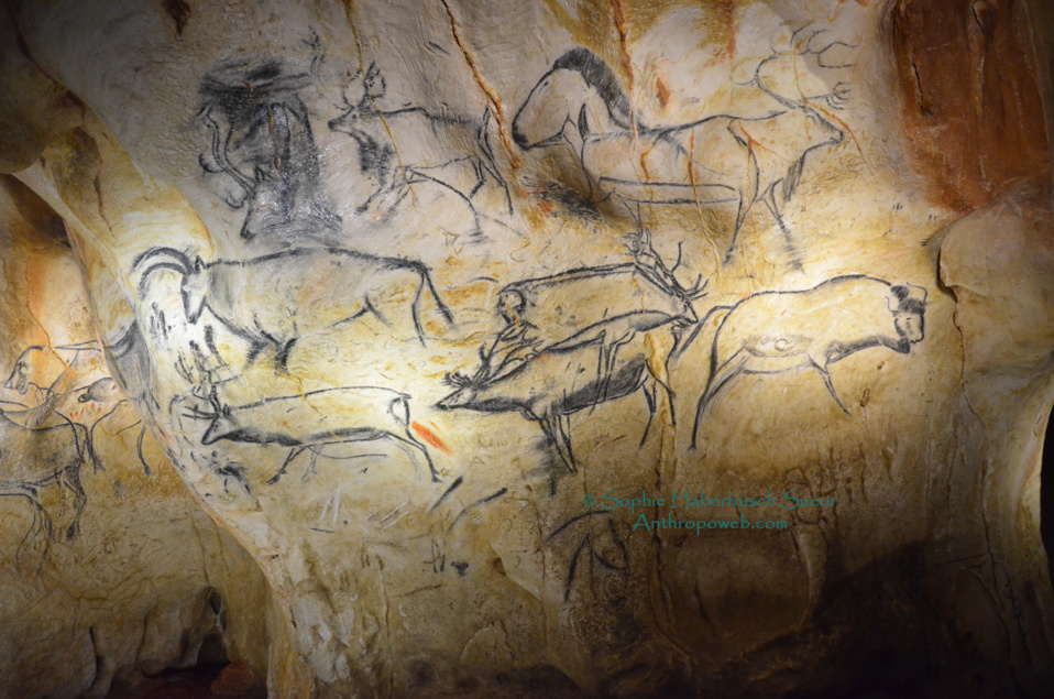 Une sagesse scientifique,  une merveille  humaine restituée : la Grotte Chauvet Pont d'Arc