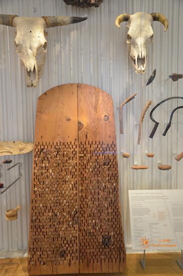 Outils de culture, Néolithique, Faucilles, Tribulum,