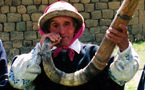 Les chemins de l'ethnicité : Etude comparative des identités des descendants des <em>mitmagkuna</em> Cañaris dans la région andine