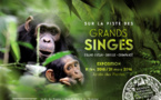 Compte rendu sur l'exposition : "Sur la piste des grands singes" du Muséum National d'Histoire Naturelle