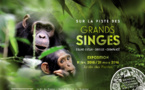 Compte rendu sur l'exposition : "Sur la piste des grands singes" du Muséum National d'Histoire Naturelle Compte rendu sur l'exposition : "Sur la piste des grands singes" du Muséum National d'Histoire Naturelle